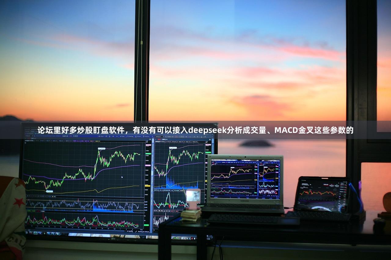 论坛里好多炒股盯盘软件，有没有可以接入deepseek分析成交量、MACD金叉这些参数的