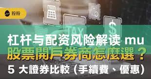 杠杆与配资风险解读 mu