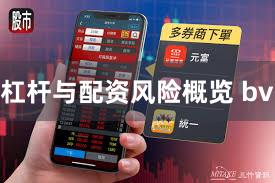 杠杆与配资风险概览 bv