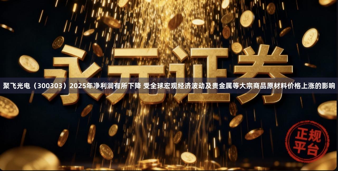 聚飞光电（300303）2025年净利润有所下降 受全球宏观经济波动及贵金属等大宗商品原材料价格上涨的影响